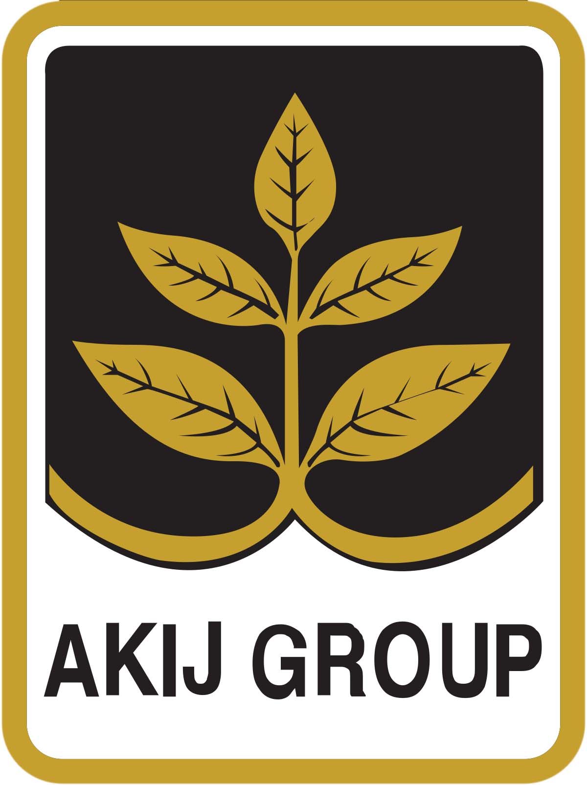 AKIJ Group